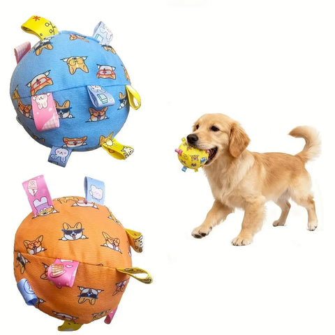 Fun Interactive Ball for Training and Play