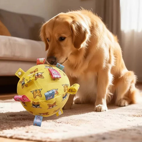 Fun Interactive Ball for Training and Play
