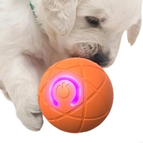Rechargeable Rolling Ball Toy for Cats and Dogs