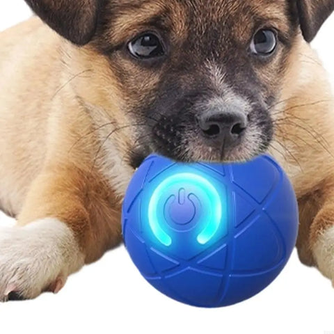 Rechargeable Rolling Ball Toy for Cats and Dogs