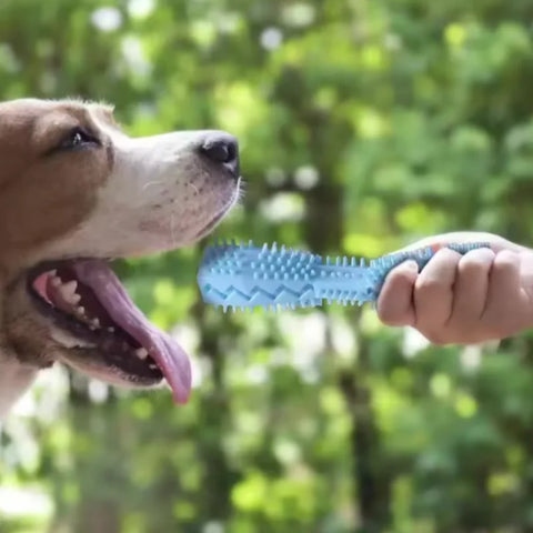 Bite Resistant Dog Teether Stick Toy for Active Chewing