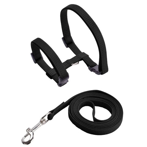 Comfortable Cat Harness and Leash for Adventures
