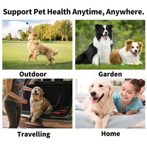 Fresh Breath Pet Dental Wipes for Happy Pets