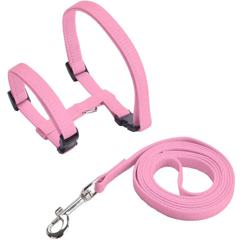 Comfortable Cat Harness and Leash for Adventures