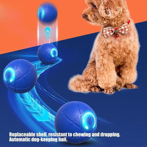 Rechargeable Rolling Ball Toy for Cats and Dogs