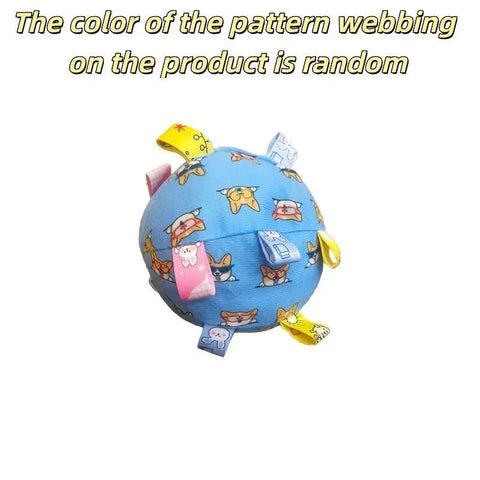 Fun Interactive Ball for Training and Play